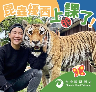 昆蟲擾西開課啦|3月限定探索課程,台中最有趣的親子體驗