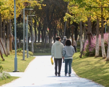 中央公園走讀活動